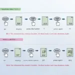 Tester 3 in 1 TDS PH Temperatura - immagine 4